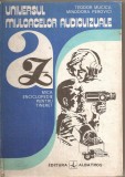 (C4003) UNIVERSUL MIJLOACELOR AUDIOVIZUALE DE TEODOR MUCICA SI MINODORA PEROVICI, EDITURA ALBATROS, 1982