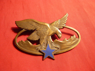 Insigna veche Militara Cavalerie ,L= 7 cm foto