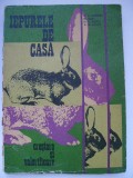 Al. Georgeoni, s.a. - Iepurele de casa. Crestere si valorificare, 1982