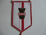 Fanion fotbal Federatia din Polonia