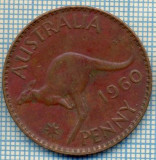 1748 MONEDA - AUSTRALIA - 1 PENNY - anul 1960 -starea care se vede