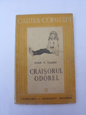 Craisorul Odorel foto