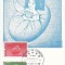 6526 - Franta carte maxima 1985
