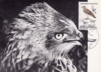 2338 - Franta carte maxima 1984 foto