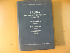 Fauna R. P. R. Volumul I Fascicula 2 Bucuresti 1960 foto
