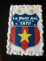 Vafa tort cu Steaua, Dinamo, Rapid, etc foto