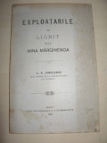 Cumpara ieftin EXPLOATARILE DE LIGNIT DE LA MINA MARGINENCA,1904, HARTA EXTENSIBILA /BRAILA