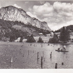 bnk cp Lacul Rosu - Vedere spre Suhard - necirculata