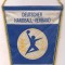 fanion-DDR-DEUTSCHER HANDBALL-VERBAND