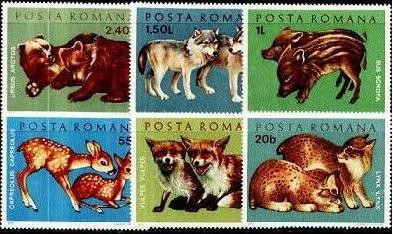 Romania 1972 Pui animale salbatice serie completa neuzata foto