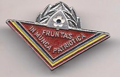 insigna-FRUNTAS IN IN MUNCA PATRIOTICA foto