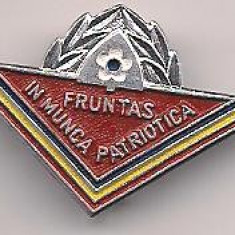 insigna-FRUNTAS IN IN MUNCA PATRIOTICA