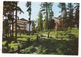 Carte postala(ilustrata) -NEAMT-Baile Baltatesti, Circulata, Printata