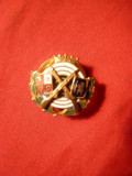 Insigna Tir cu buton ,f.veche ,d= 1,6 cm