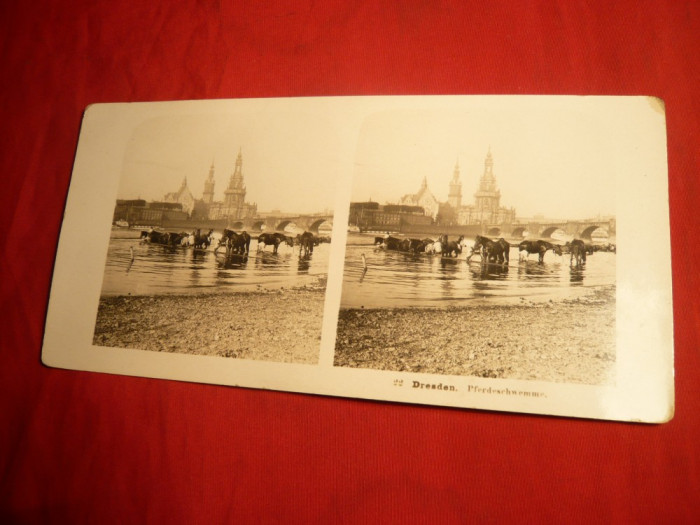 Fotografie dubla -Herghelie cai in apa -Dresda 1903
