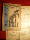 Muzeul de Istorie Naturala Gr.Antipa - Calauza Vizitatorului -ed. 1961