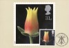 6871 - carte maxima Anglia 1987