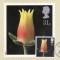 6871 - carte maxima Anglia 1987
