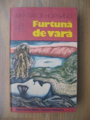 Juan Garcia Hortelano - Furtuna de vara foto