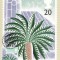 C5702 - carte maxima Anglia 1990