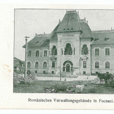 995 - FOCSANI, Vrancea, Primaria, caruta, Romania - old postcard - unused