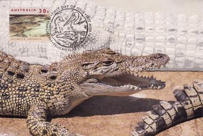 7808 - Australia carte maxima 1994 foto