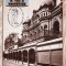 7798 - Australia carte maxima 1992