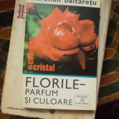 FLORILE-PARFUM SI CULOARE