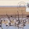 7792 - Australia carte maxima 1992