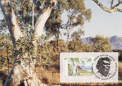 7803 - Australia carte maxima 1993 foto