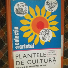 PLANTELE DE CULTURA-HRANA SI MATERII PRIME