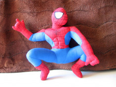 Spiderman ~ 23 x 26 cm foto