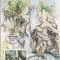7972 - Austria carte maxima 1986