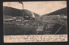 GAINESTI JUD. SUCEAVA FABRICA DE CHERESTEA foto