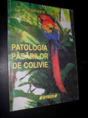 CARMEN IONITA - PATOLOGIA PASARILOR DE COLIVIE foto