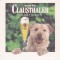 Suport de pahar / Biscuite CLAUSTHALER