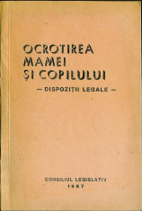 Ocrotirea mamei si copilului - dispozitii legalr - foto