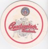 Suport de pahar / Biscuite BUDWEISER BUDVAR