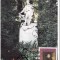 1820a - Austria carte maxima 1990