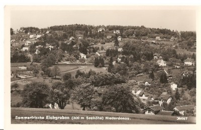 CPI (B2711) AUSTRIA. SOMMERFRISCHE EICHGRABEN, NIERDONAU, FOTO LEDERMANN, VIENA, 1938, NECIRCULATA foto