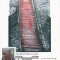 2364 - Austria carte maxima 2005