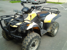 Vand ATV Linhay 300. foto