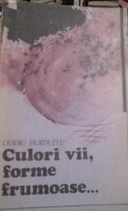 Ovidiu Hurduzeu - Culori vii, forme frumoase foto