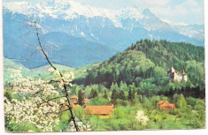 carte postala(marca fixa)- BRAN-vedere foto