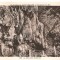 CPI (B2730) FRANTA.,GROTELE DIN SAINT-CEZAIRE, APROAPE DE GRACE, SALA DRAPERIILOR, EDITURA LA PROVENCALE, NECIRCULATA