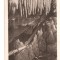 CPI (B2801) FRANTA. LES GROTES DE SAINT-CESARE, LES BORD DU GOUFFRE, EDITURA LA PROVENCALE, NECIRCULATA