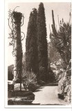 CPI (B2800) FRANTA. MONACO, LES HARDINS EZOTIQUES, EDITURA LA CIGOGNE, NECIRCULATA