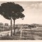 CPI (B2782) ITALIA. ROMA, APEUCTUL LUI CLAUDIU, EDITURA CESARE CAPELLO, NECIRCULATA
