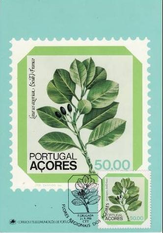 100 - Portugalia-Acores 1981