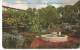 CPI (B2769) SUA, AMERICA. CALIFORNIA, SAN DIEGO, PATIO, SCRISA SI NECIRCULATA, NECIRCULATA